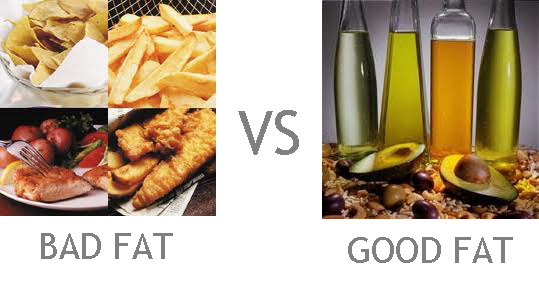 Fat Vs Bad 41