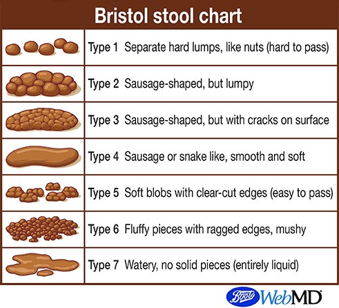 Bristol Stool Chart Kids